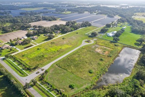 Land in Dover, Florida № 1373595 - photo 1