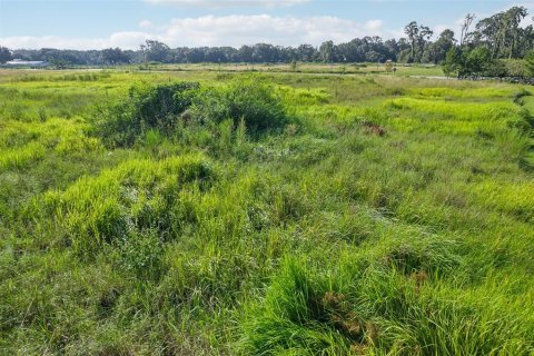 Terreno en venta en Dover, Florida № 1373595 - foto 18