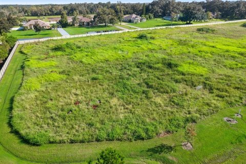 Terreno en venta en Dover, Florida № 1373595 - foto 8