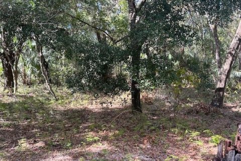 Terreno en venta en Seville, Florida № 1426882 - foto 24