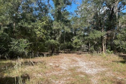 Terreno en venta en Seville, Florida № 1426882 - foto 14