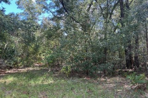 Terreno en venta en Seville, Florida № 1426882 - foto 13