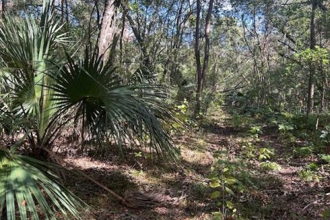 Terreno en venta en Seville, Florida № 1426882 - foto 4