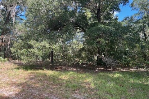 Terreno en venta en Seville, Florida № 1426882 - foto 12