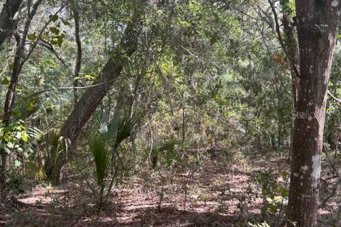 Terreno en venta en Seville, Florida № 1426882 - foto 21