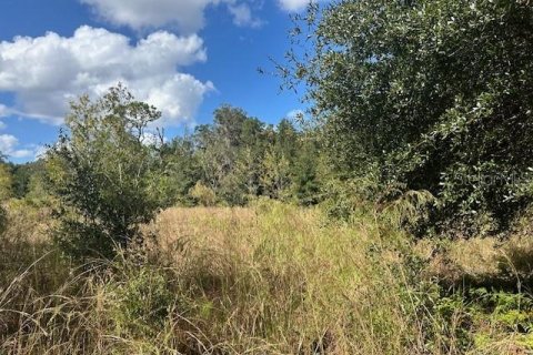 Terreno en venta en Seville, Florida № 1426882 - foto 6