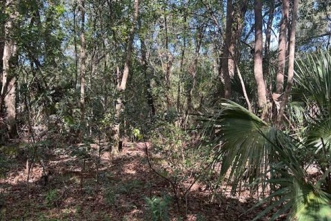 Terreno en venta en Seville, Florida № 1426882 - foto 5