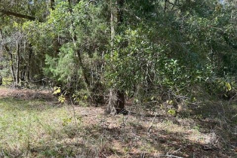 Terreno en venta en Seville, Florida № 1426882 - foto 11