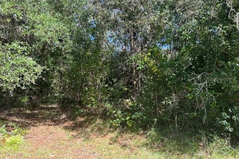 Terreno en venta en Seville, Florida № 1426882 - foto 7