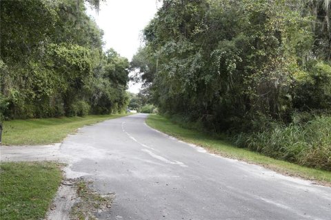 Купить земельный участок в Апопка, Флорида № 214455 - фото 1