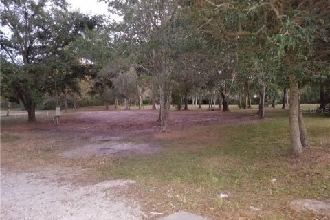 Land in Wesley Chapel, Florida № 1382528 - photo 4