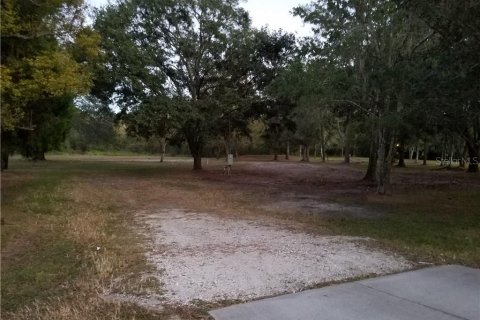 Land in Wesley Chapel, Florida № 1382528 - photo 3