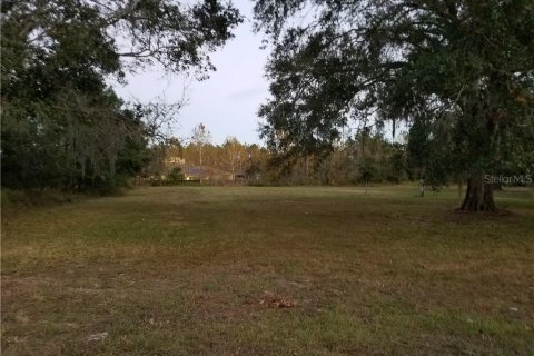 Terreno en venta en Wesley Chapel, Florida № 1382528 - foto 1