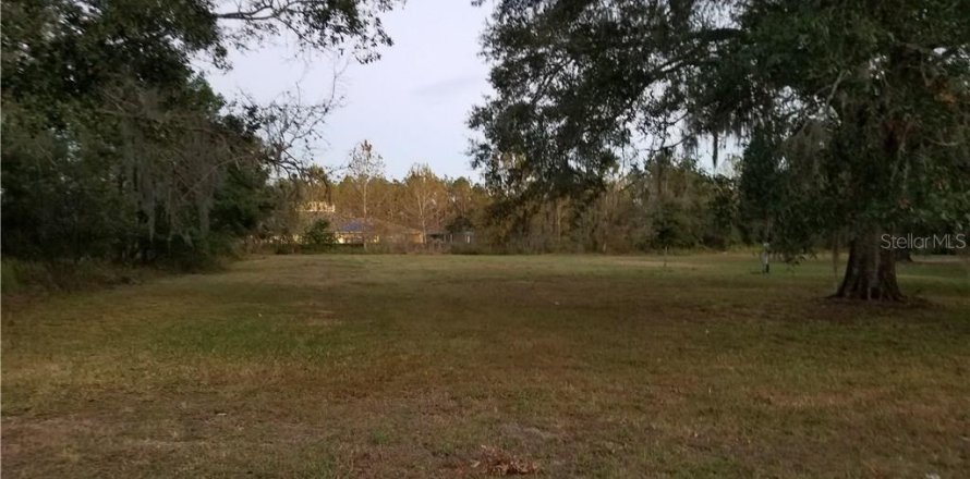 Terrain à Wesley Chapel, Floride № 1382528