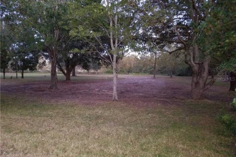 Terreno en venta en Wesley Chapel, Florida № 1382528 - foto 5