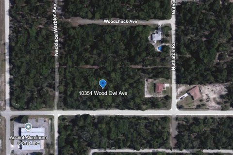 Terreno en venta en Brooksville, Florida № 1422827 - foto 5