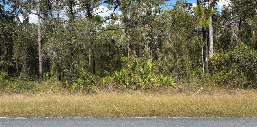 Terreno en Brooksville, Florida № 1422827