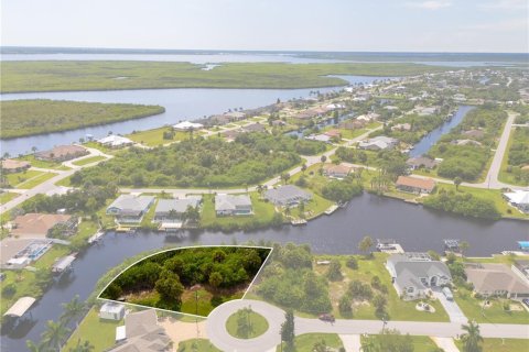 Terreno en venta en Port Charlotte, Florida № 1323757 - foto 2