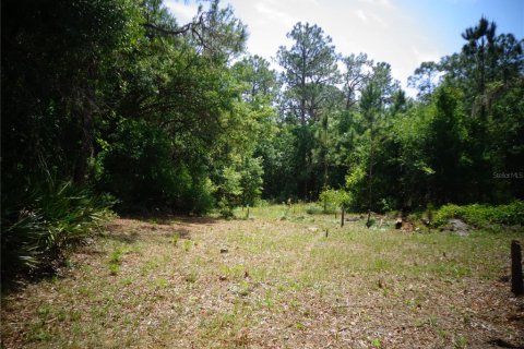 Terrain à vendre à Wimauma, Floride № 1295953 - photo 2