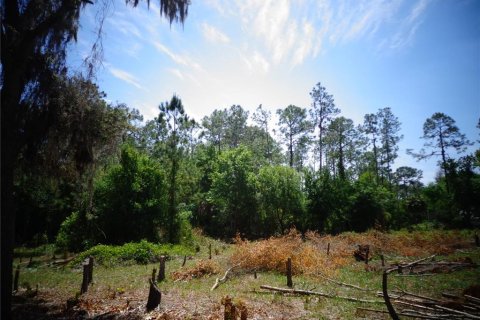 Terrain à vendre à Wimauma, Floride № 1295953 - photo 5