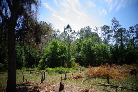 Terrain à vendre à Wimauma, Floride № 1295953 - photo 4