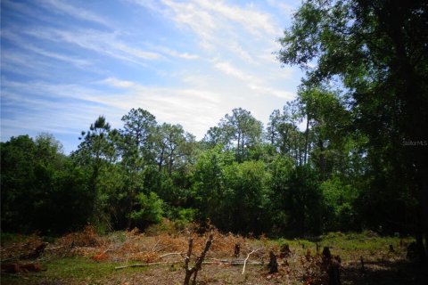 Terrain à vendre à Wimauma, Floride № 1295953 - photo 6