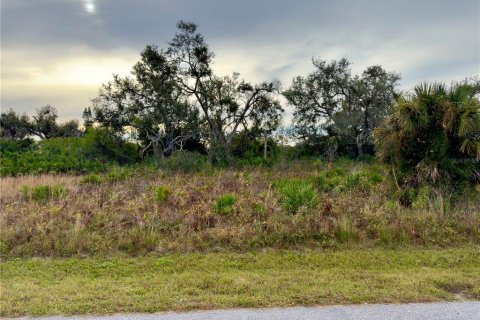 Land in North Port, Florida № 1295956 - photo 23