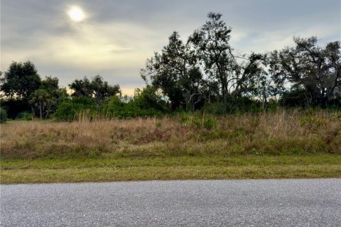 Land in North Port, Florida № 1295956 - photo 21