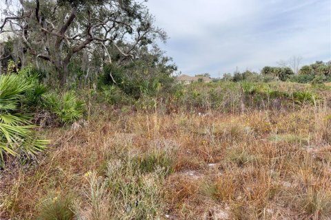 Land in North Port, Florida № 1295956 - photo 29