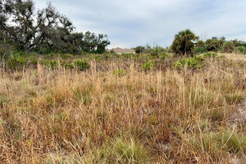 Land in North Port, Florida № 1295956 - photo 28