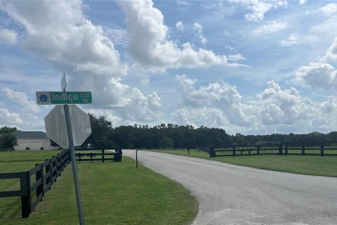 Land in Groveland, Florida № 1368375 - photo 5