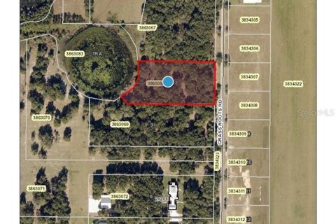 Terreno en venta en Groveland, Florida № 1368375 - foto 2