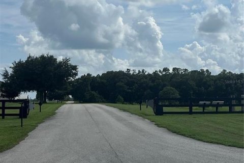 Land in Groveland, Florida № 1368375 - photo 7