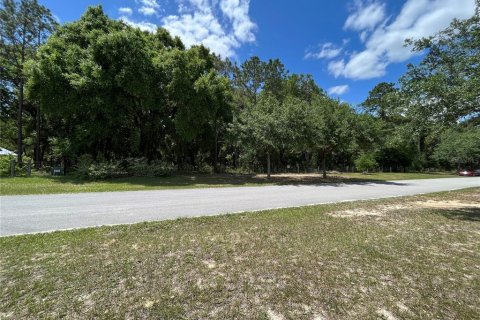 Land in Groveland, Florida № 1368375 - photo 1