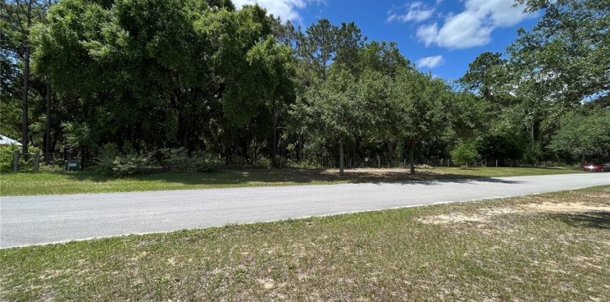 Terrain à Groveland, Floride № 1368375