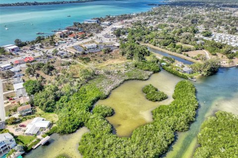 Terreno en venta en Englewood, Florida № 863745 - foto 8