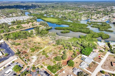 Terreno en venta en Englewood, Florida № 863745 - foto 10