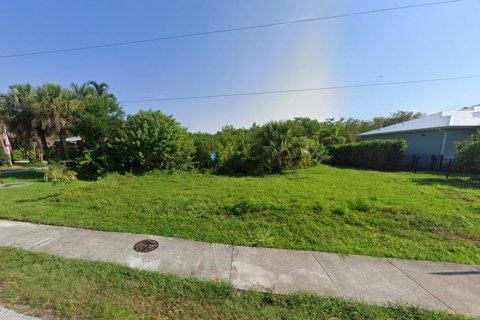 Land in Stuart, Florida № 1410161 - photo 2