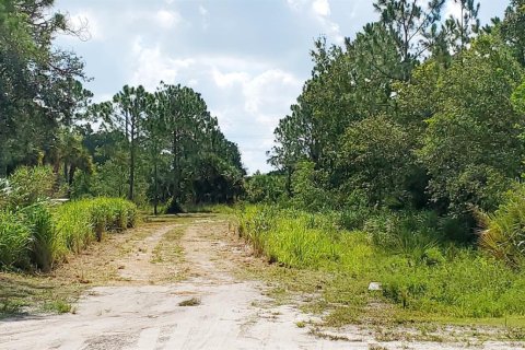 Купить земельный участок в Виро-Бич, Флорида № 723577 - фото 2