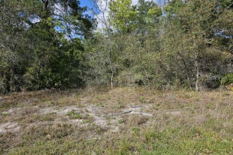 Terreno en venta en Weeki Wachee, Florida № 1304550 - foto 1