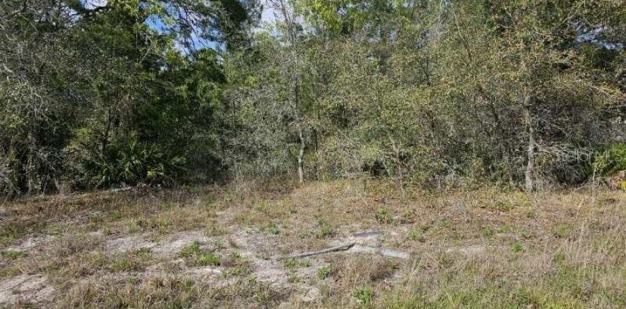 Land in Weeki Wachee, Florida № 1304550