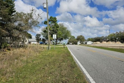 Land in Weeki Wachee, Florida № 1304550 - photo 3