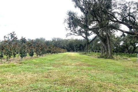 Terreno en venta en Seville, Florida № 1429176 - foto 7