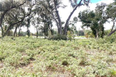 Terreno en venta en Seville, Florida № 1429176 - foto 8