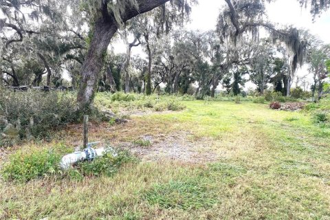 Terreno en venta en Seville, Florida № 1429176 - foto 11