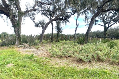 Terreno en venta en Seville, Florida № 1429176 - foto 15