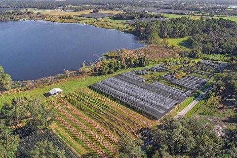 Terreno en venta en Seville, Florida № 1429176 - foto 12