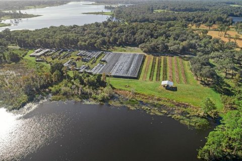 Terreno en venta en Seville, Florida № 1429176 - foto 4