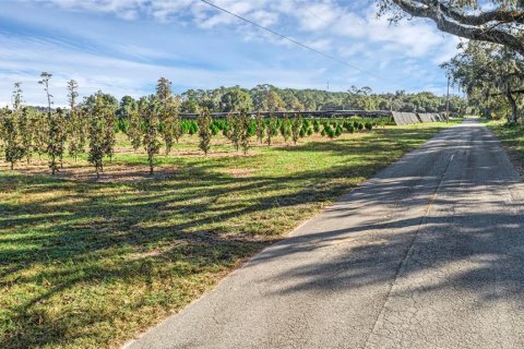 Terreno en venta en Seville, Florida № 1429176 - foto 6