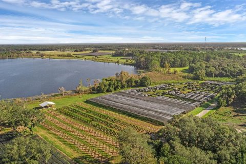 Terreno en venta en Seville, Florida № 1429176 - foto 1